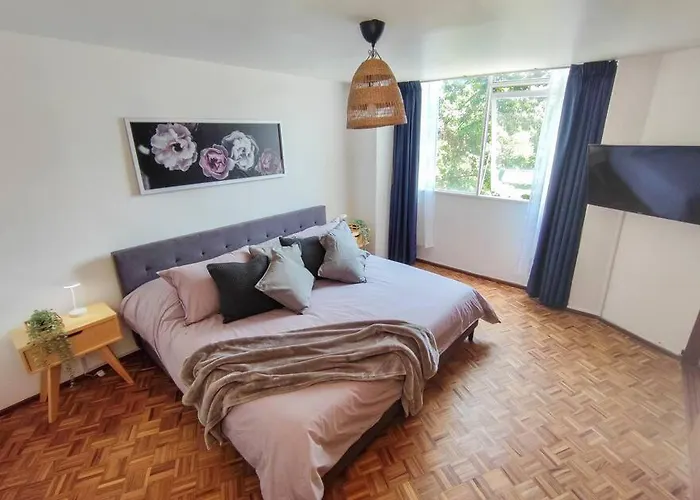Delightful 4br Cozy Heart Of Artist District México DF