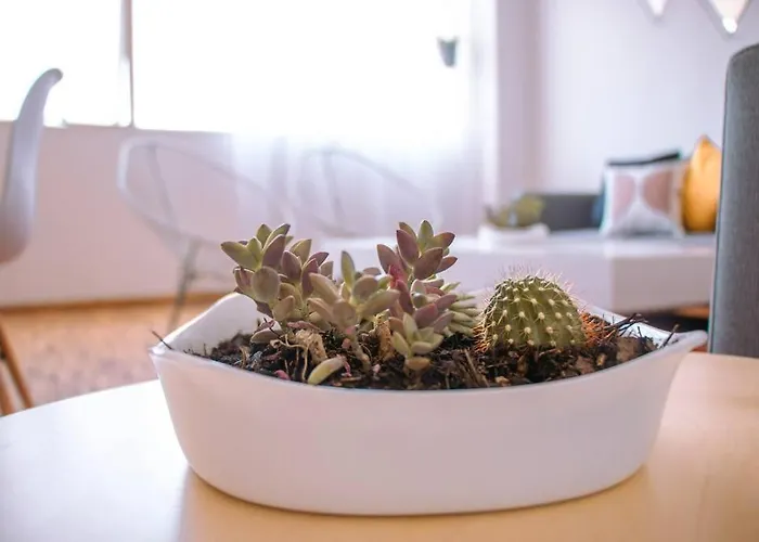 Apartamento Delightful 4br Cozy Heart Of Artist District *