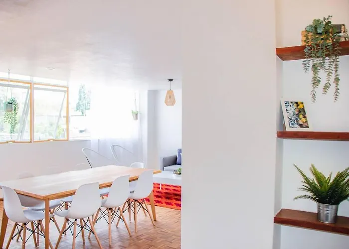 Delightful 4br Cozy Heart Of Artist District México DF